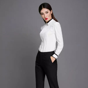 職業(yè)襯衣女2