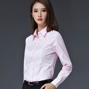 職業(yè)襯衣女5